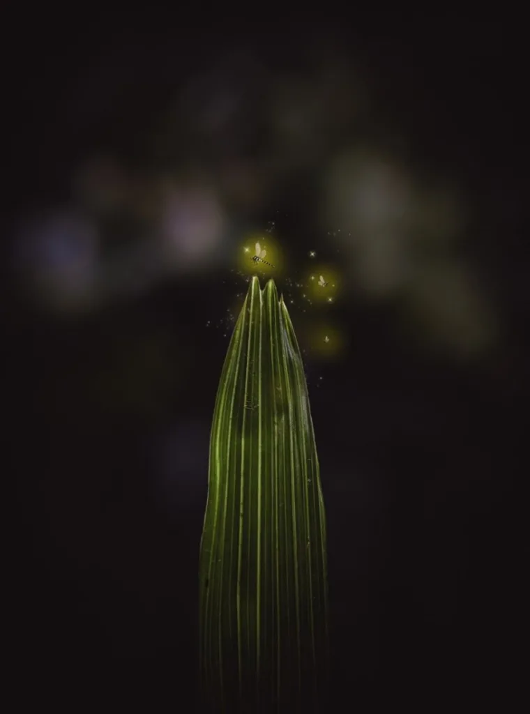 fireflies around the leaf