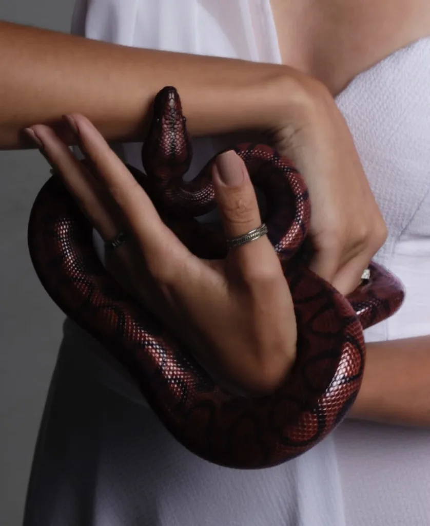 someone holding a snake