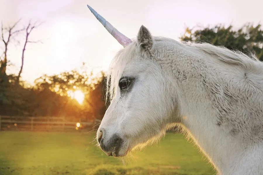 Spiritual Meaning of Unicorn: 7 Reasons to Love Them More